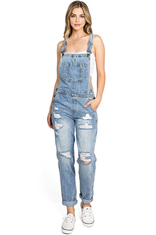 Mineral Distressed Overalls