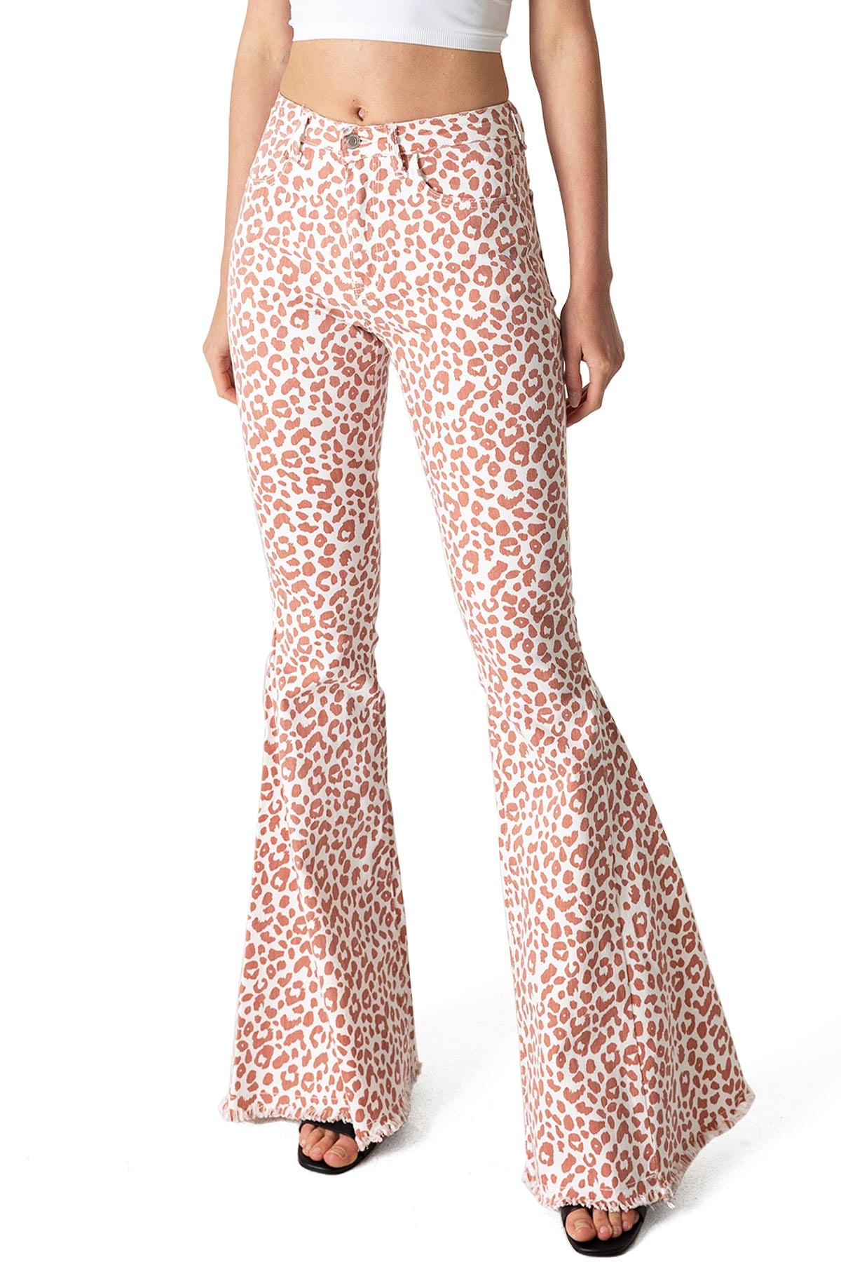 Leo Amplified Flares